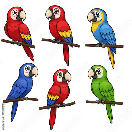 Cute macaw parrot birds set perched on a branch cartoon illustration