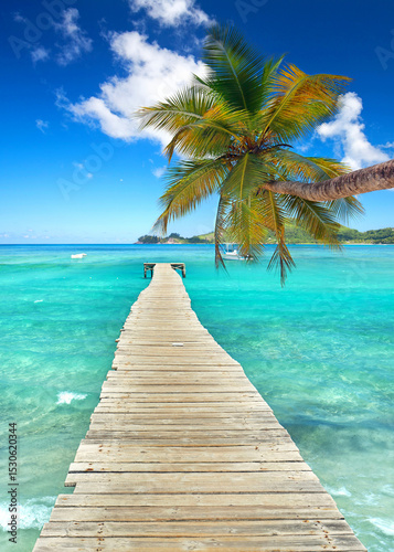 Rustic Wooden Pier with a Palm Tree Overlooking the Blue tropical Sea