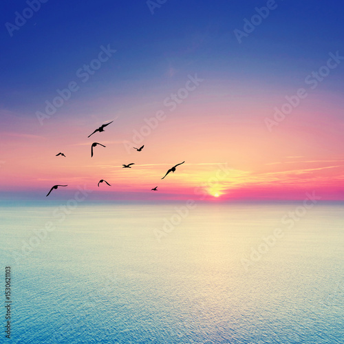 beautiful Endless Mediterranean Beach at Sunrise with Vibrant Summer Colors and Birds Soaring Above the Horizon
