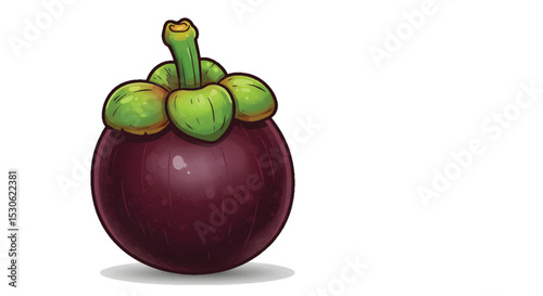 Fresh Whole Mangosteen Tropical Fruit

