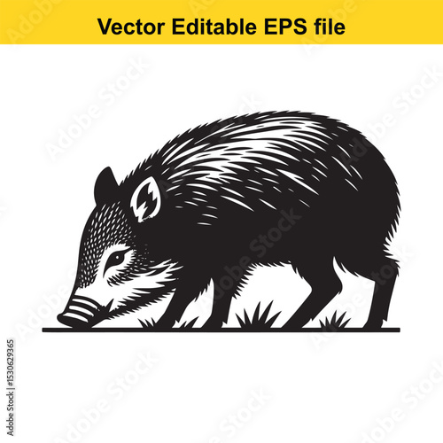 A black and white illustration of a peccary, a wild pig-like mammal