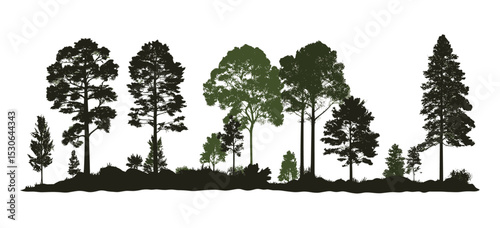 Vector illustration of forest silhouette trees, evergreen tree line for seamless border, side view green shadow, pine woodland scene, cutout tree art, forest edge layout.
