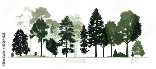 Evergreen trees side view for seamless border, forest silhouette design, green shadow vector illustration, pine tree layout, landscape architecture, tree cutout style.