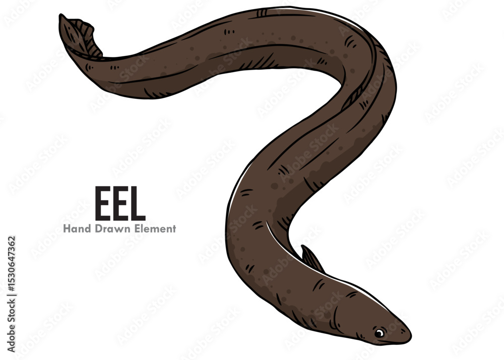 Obraz premium vector illustration of a eel