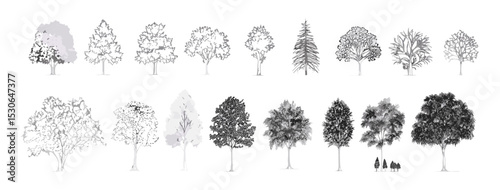 Cad tree elements, minimal outline drawing of oak and tropical trees, landscape design symbol set, architecture foliage vector illustration, nature garden, botanical outdoor planning.