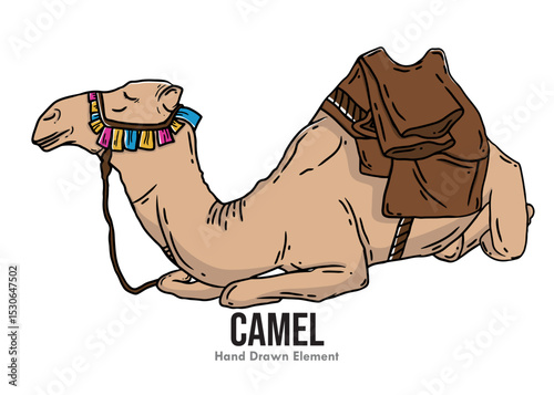 camel cartoon illustration