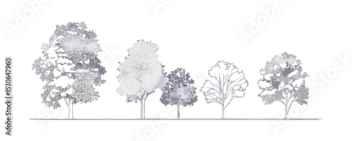 Fototapeta Cad tree elevation line, outline graphics set, minimal tropical tree symbol, architecture side view design, vector illustration, foliage elements, architectural planning, white stroke.