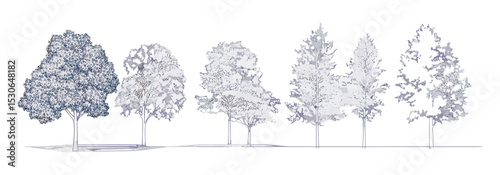 Set of graphic trees, outline style for architecture drawing, minimal cad tree line, side view, vector illustration, tropical plant elements, landscape design, tree symbol, foliage.
