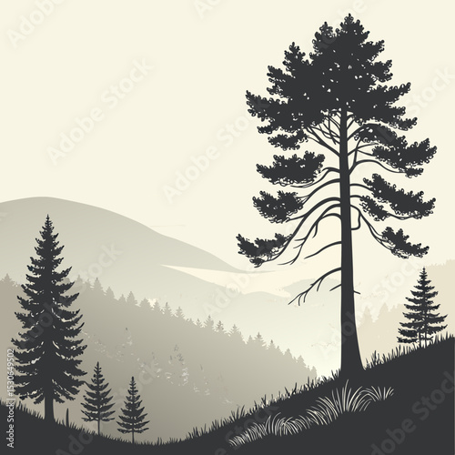winter forest landscape