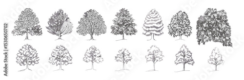 Outline trees for cad drawing, side view tropical line style, minimal architectural tree set, foliage vector illustration, planning elements, landscape symbol, architecture concept.