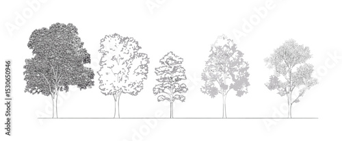 Set of graphic trees, outline style for architecture drawing, minimal cad tree line, side view, vector illustration, tropical plant elements, landscape design, tree symbol, foliage.