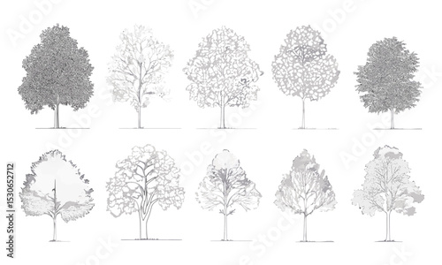Architecture and landscape design drawing, tree line pattern, minimal cad style, vector illustration, garden planning, abstract trees, foliage elements, stroke filled, scenery.