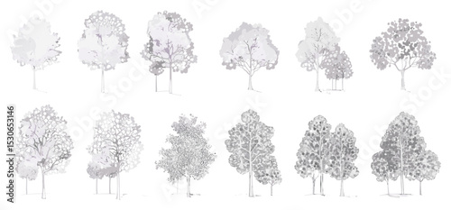 Cad tree line drawing, minimal architecture design, landscape planning symbol, vector illustration, white stroke, foliage pattern, greenery, blueprint element, nature, arbor design