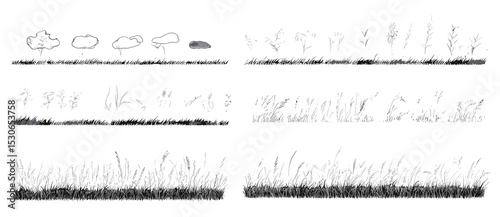 Grass side section, architectural lawn element, vector illustration, ground cover banner, minimal turf edge, cad drawing isolated on white, landscaping concept, edging design, png.