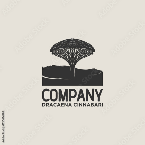 silhouette background of unique tree dracena cinnabari