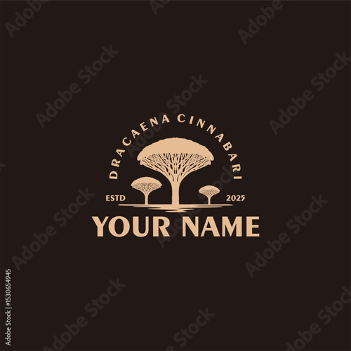 silhouette background of unique tree dracena cinnabari