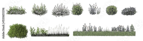 Vector illustration of shrubs set, ground cover minimal line cad, elevation view, turf banners, grass edging, garden divider, foliage contour, architectural section, plant base.