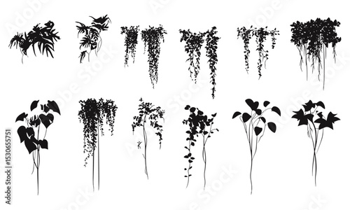 Side view plant silhouettes, outline trees set, tropical vines drawing, landscape design element, architecture foliage symbol, vector illustration, greenery icon, png.