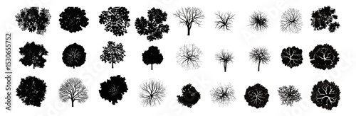 vector tree top view, silhouette, architecture layout drawing, isolated on white background, garden, environment, landscape plan, cutout, vector illustration, mapping, urban design.