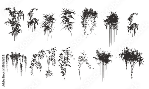 Tropical plant silhouette, vines side view, outline trees set, architecture symbol, landscape drawing element, foliage graphics, vector illustration, garden icon, cutout.