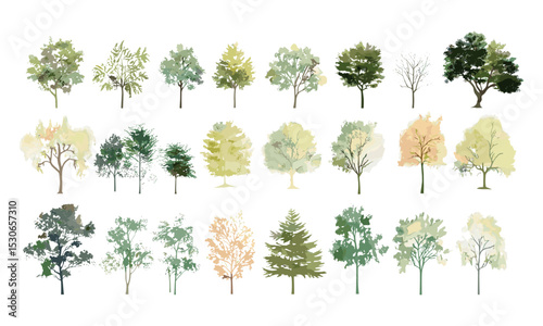 Vector illustration of tree watercolor, tropical trees, side view, stroke fill, oak, maple, poplar, forest elements, architecture design drawing, green tree clipart.
