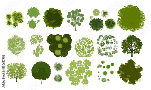 Vector tree top, white isolated view, cad drawing, garden layout, site plan, foliage, landscape map, architecture vector illustration, terrain, vegetation plan, cutout.