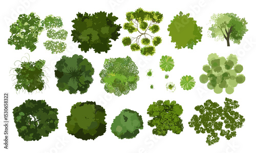 Vector illustration, tree top view, garden layout, isolated foliage, landscape architecture, white background, cad drawing, site plan, vegetation, terrain mapping, environmental, cutout.