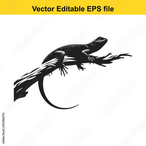Black and white silhouette of a lizard on a branch