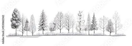 Architectural forest outline section, tree line side view in minimal cad style for landscape drawing, vector illustration, outdoor planning, green space, environment concept.
