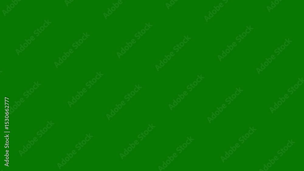 An image of a green screen with white background  bunch flowers four smokes on smoke it coming out border animated chromakey background illustration colorful depth elements frame layers