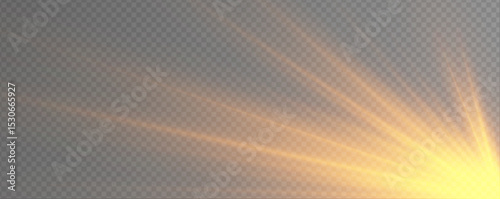 Golden starbursts sparkle with delicate light trails. The shimmer effect gives a feeling of magic and energy. Ideal for festive or elegant designs.