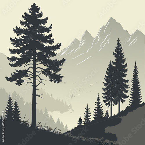 forest in the mountains