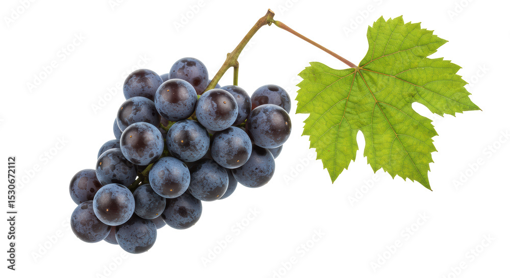 Fototapeta premium Isolated bunch of grapes