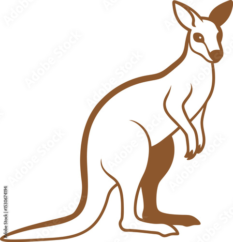 kangaroo vector illustration