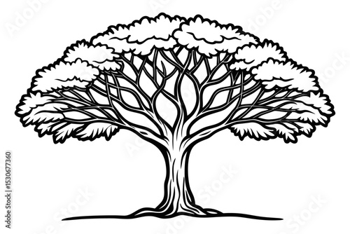Continuous line drawing of a large tree isolated on transparent background