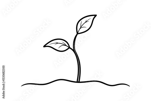 Continuous single line drawing of a small sprout plant illustration isolated on transparent background