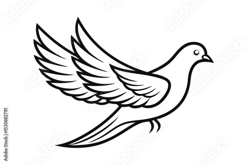Elegant line art dove illustration isolated on transparent background