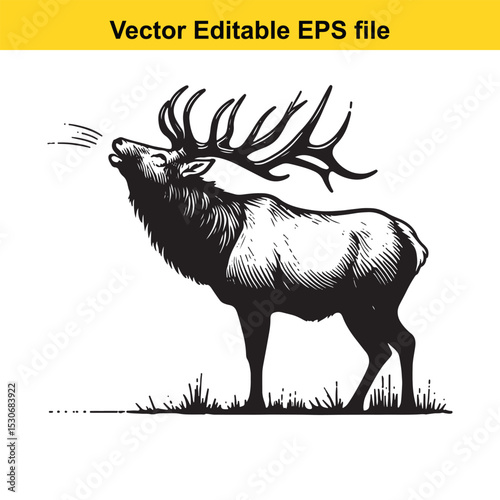 A majestic elk bugling in a field, vector illustration