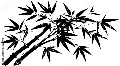 Vector illustration of bamboo silhouette with natural green leaves and branches