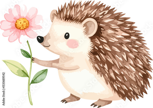 Cute, small hedgehog cartoon with brown spines in a garden