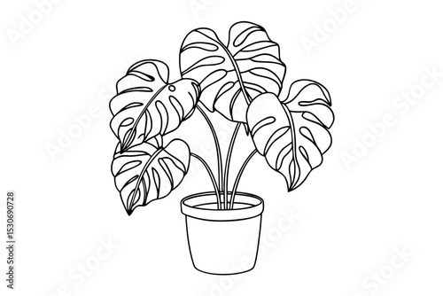 Continuous line drawing of monstera leaves in a pot isolated on transparent background