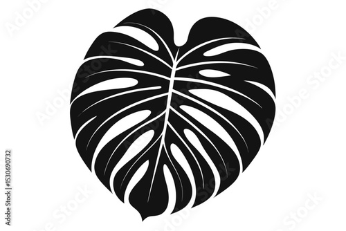 High resolution black monstera deliciosa tropical leaf graphic isolated on transparent background