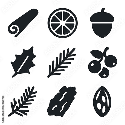 Natural Ornament Icons. Solid, filled icons set of natural ornament elements: cinnamon stick, dried orange
