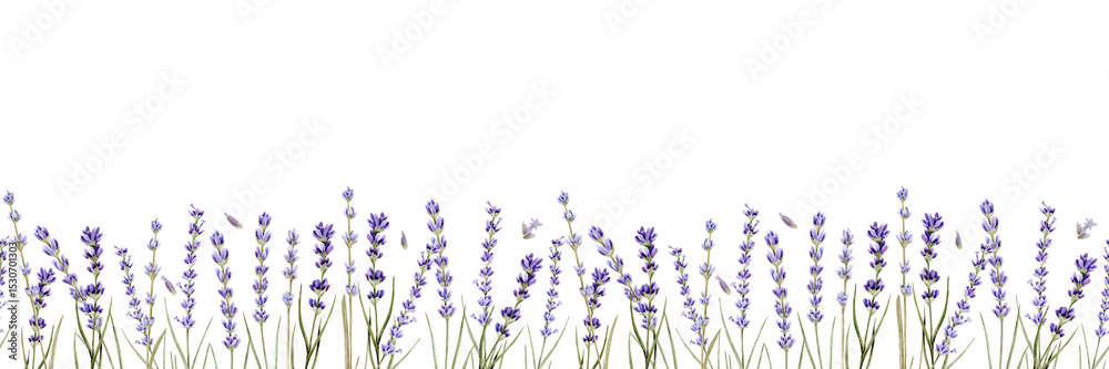 Obraz premium Watercolor seamless pattern with branches of lavender and lavender seeds on a white background. Can be used on fabrics and paper products and other.