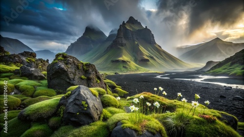 Dramatic Mountain Landscape with Mossy Rocks