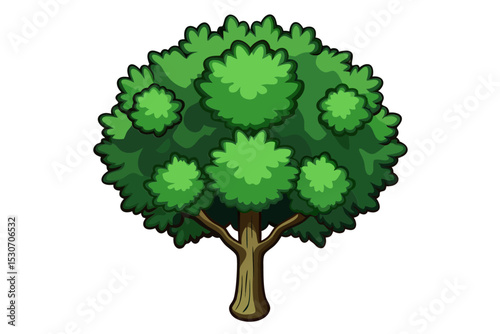 Tree canopy top view isolated on transparent background