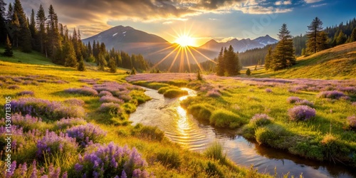 Mountain Meadow Stream at Sunset