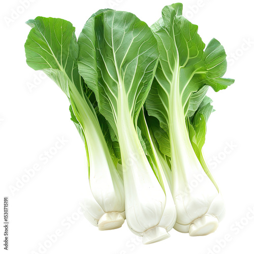 Fresh And Vibrant Bok Choy On A Bright White Backdrop. Crisp, Healthy, And Visually Appealing.