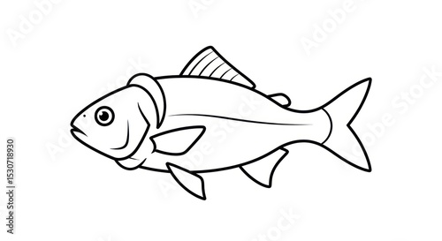 A simple black and white line drawing of a fish with fins and a tail on a white background image