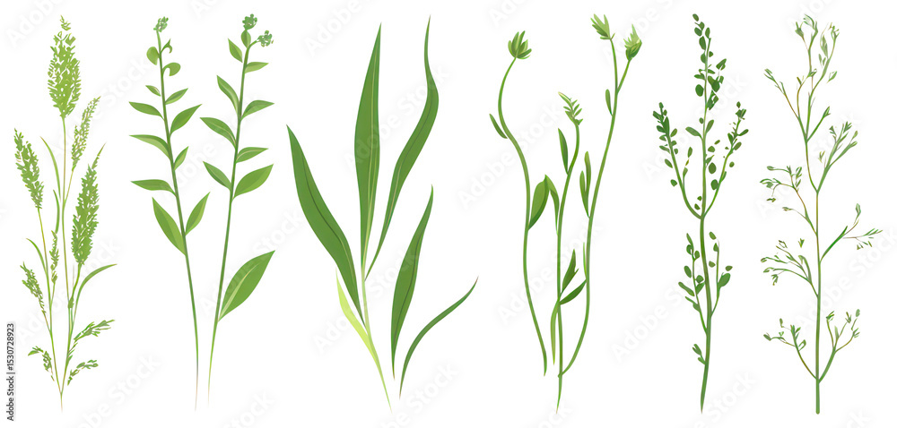 Naklejka premium PNG Illustrated green botanical herbs, element set on transparent background